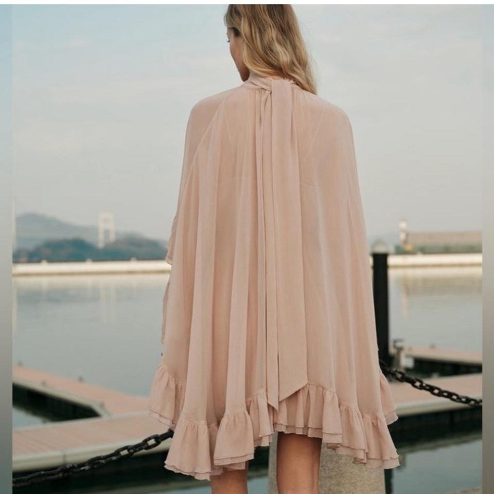 Commense Blush Pink Ruffled Mini Dress - Picture 4 of 6
